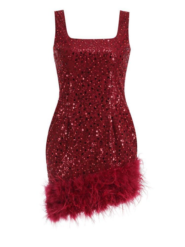 Araluen - Robe courte à plumes et sequins - Vin – Image 7
