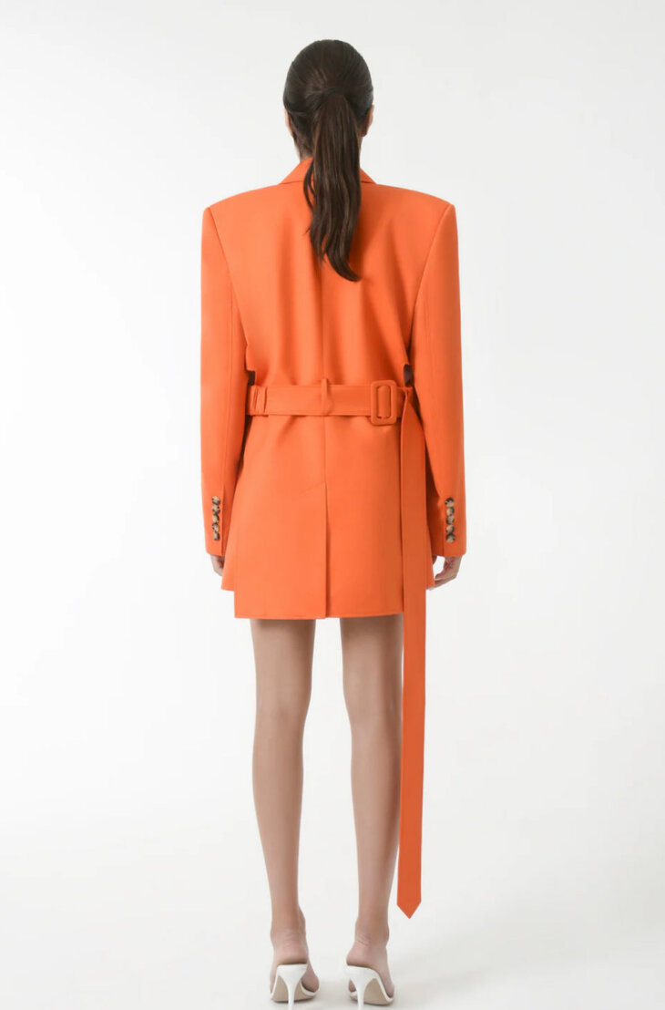 STRUCTURED PANEL BLAZER - Blazer – Image 4