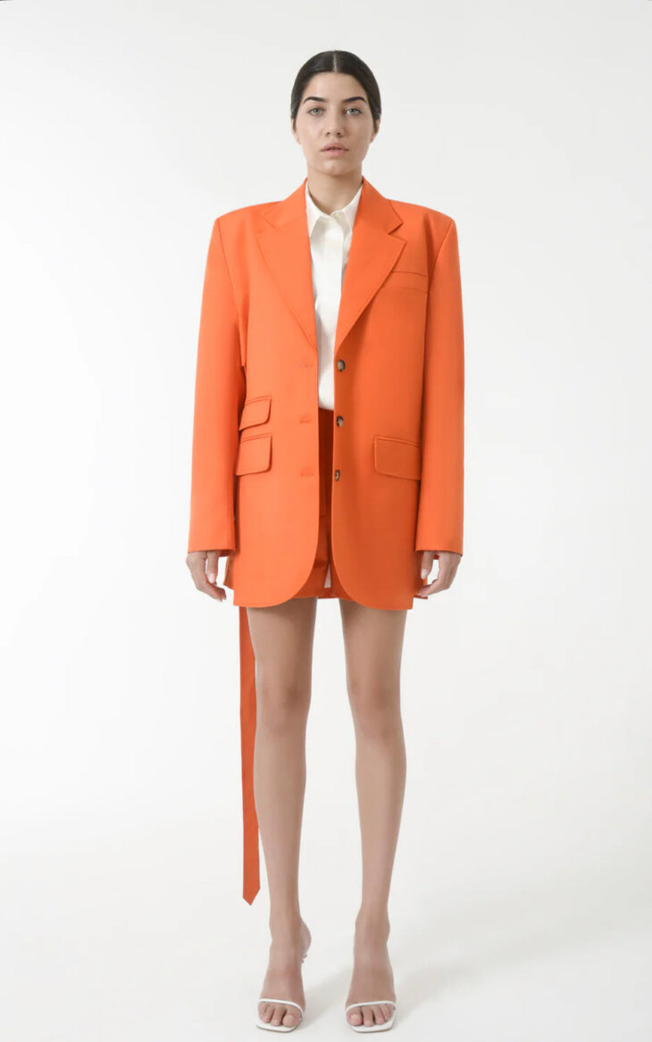 STRUCTURED PANEL BLAZER - Blazer – Image 3
